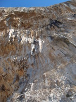 SNV80449.JPG
